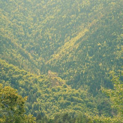 193694362_253222476598848_2613166584693966744_n